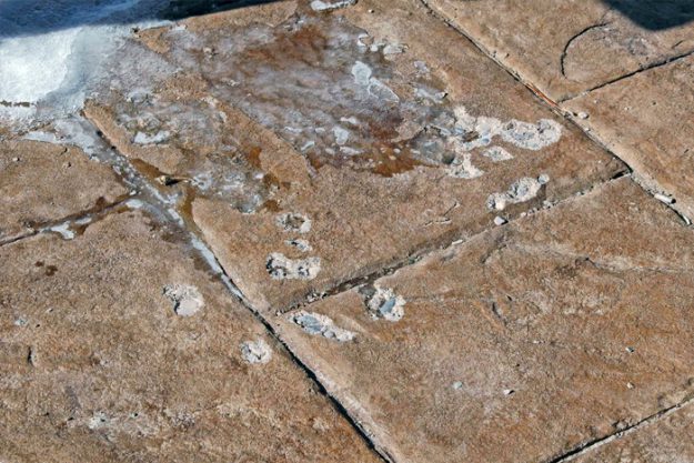 protect concrete from freeze / thaw damage protect concrete from freeze / thaw damage