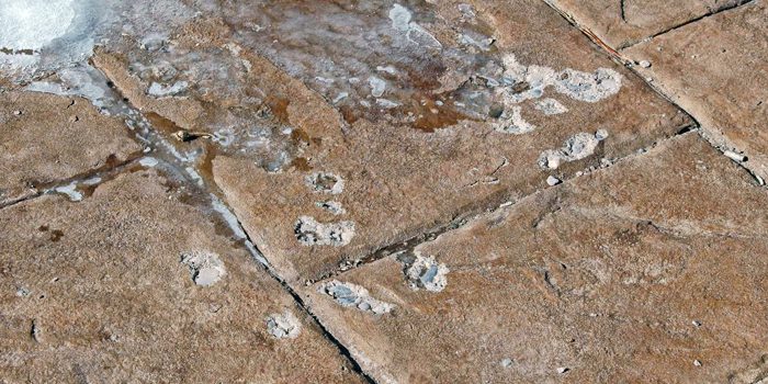 protect concrete from freeze / thaw damage protect concrete from freeze / thaw damage