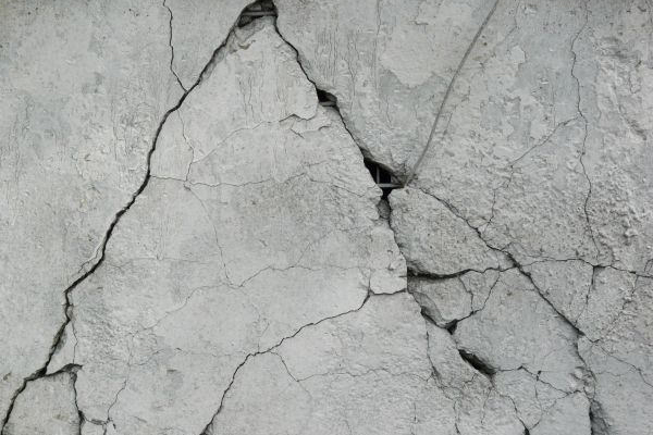 Fungi Can Help Concrete Heal Its Own Cracks Fungi Can Help Concrete Heal Its Own Cracks