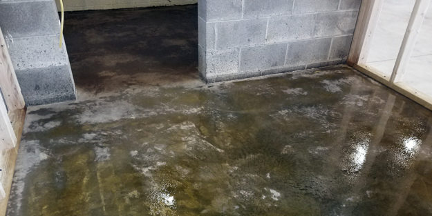 How To Dry Out Concrete in 24 Hours How To Dry Out Concrete in 24 Hours