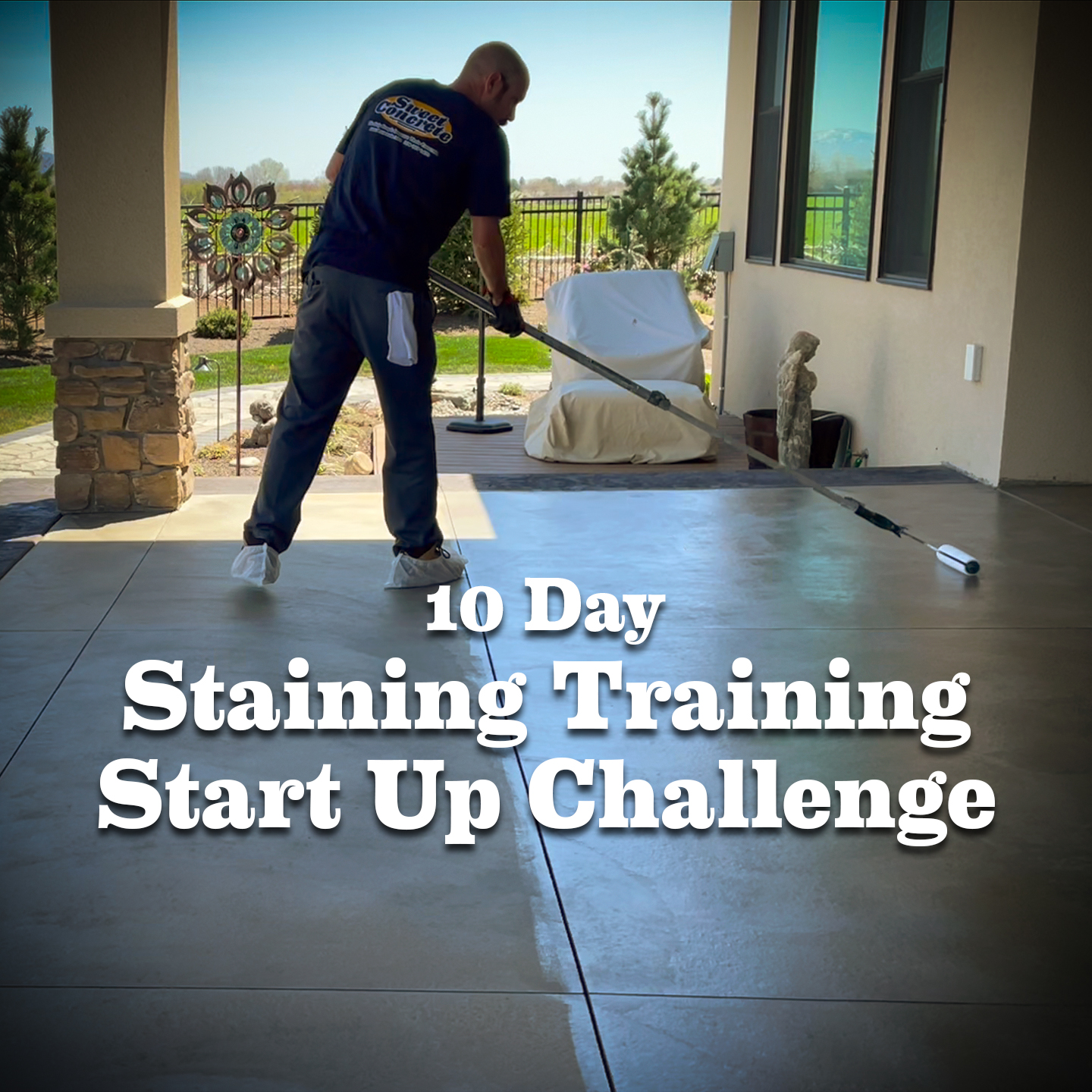 staining-training-start-up-challenge
